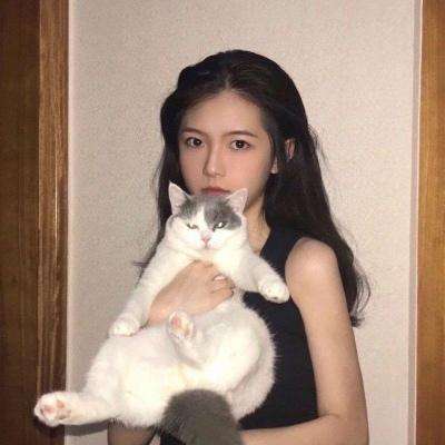 吾皇万岁内购破解版下载